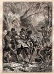 Het avontuur van Barre: Metgezel van botanicus Philibert Commerson, Jeanne Barret (of Bare, Baret, geboren Barer) doet zich voor als zijn knecht, onder de naam 