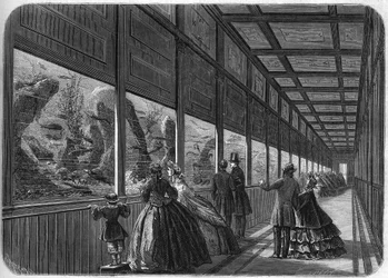 Het aquarium van de acclimatisatietuin van Parijs in 1863.