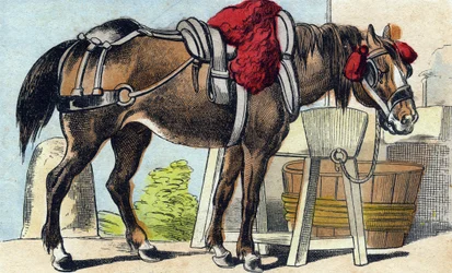 Het paard. Gravure in "Buffon Alphabet des Animaux". 3e Serie N 1. Imaging of Epinal, Epinal, eind 19e eeuw. 16 pagina