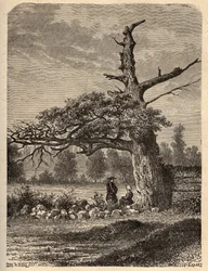 De eik van Hendrik IV in Sainte Foix, nabij Rennes - gravure in 