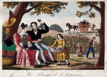 De genoegens van de herfst: de oogst