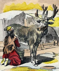 Het melken van het rendier. Gravure in "Buffon Alphabet des Animaux". 3e Serie N 1. Imaging of Epinal, Epinal, eind 19e eeuw. 16 pagina