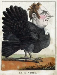 De kalkoen in karikatuur, studie van karakter 