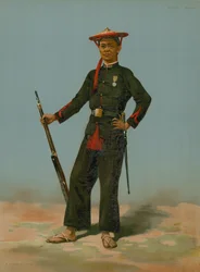 Anamitische Schutter