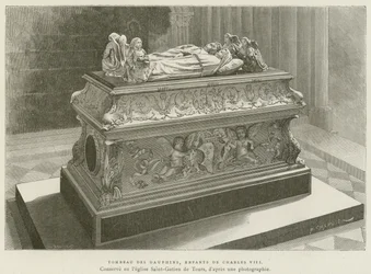 Graf van de dolfijnen, kinderen van Karel VIII