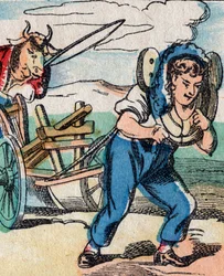 Ondersteboven wereld: ossen trekken ploeg voortgetrokken door boer