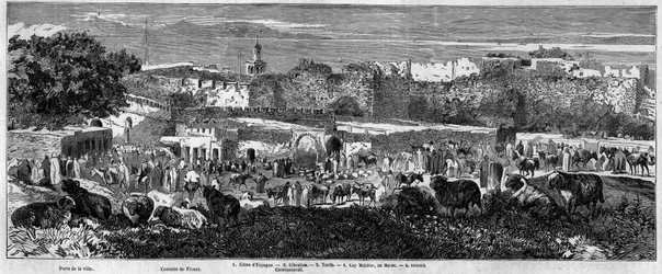 Uitzicht op de stad Tanger (Marokko), op de dag van de Arabische mars. Gravure in 