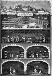 Wijnbouw: uitzicht op de champagnekelders in de kelders van het oude kasteel van de aartsbisschoppen van Reims, Marne
