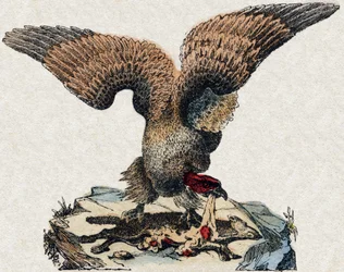 Gier. Gravure in "Alphabet des animaux sauvages". 9e Serie. Beeldvorming van Epinal, Pellerin, drukker-uitgever, circa 1870. Houtsneden, gestencild. 16 pagina