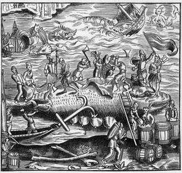Walvisvangst aan de Franse kust van de Atlantische Oceaan in de Middeleeuwen. Gravure in 