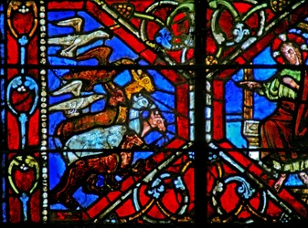 Raam w21 met de Schepping van de vogels en dieren