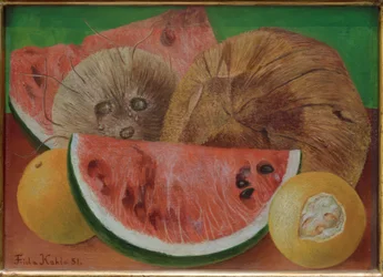Blikken of De kokosnoten