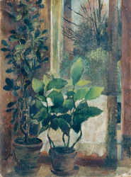 Raam met bloemen