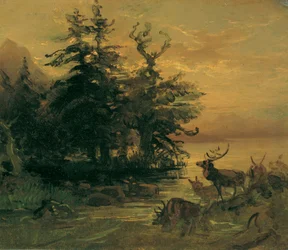 Herten die zich baden aan de oever van een bergmeer