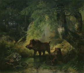 Wild zwijn en wolf