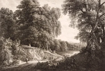 Boslandschap