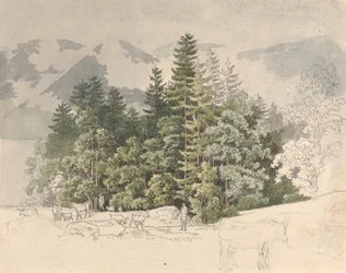 Alpenlandschap