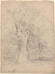 Een oude boom met figuren in een landschap