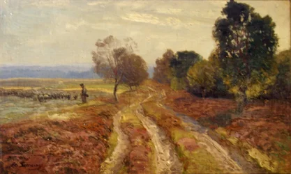 De Heideweg