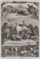 De Tentoonstelling van Sport- en andere Honden in de Paardenrepository, Holborn, Prijsdieren