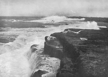 Filey Brigg, ca. 1896