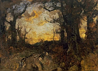 Avond in het bos