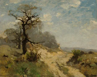 Landschap met weg