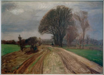 Landweg met fietser