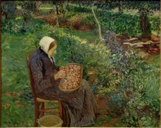 Vrouw die in de tuin schilt