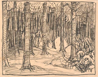 Diep in het bos kruisten de wegen elkaar...