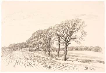 Landschap met eiken. Føns