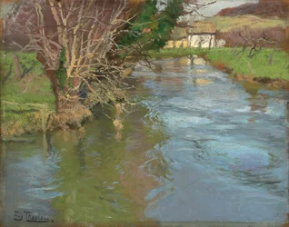 Een beek in de lente