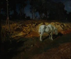 Het paard van de dokter