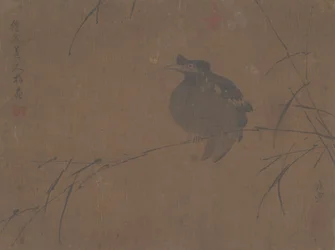 Mynah op Riet