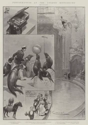 Voorstellingen in het London Hippodrome