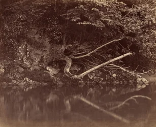 Oever van de rivier in de Vale of Neath, ca. 1855