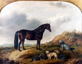 Een Pony en drie Terriërs in een Landschap