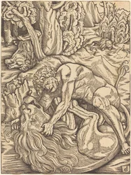 Hercules en de Nemeïsche Leeuw