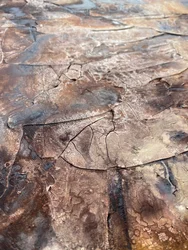 Abstract: Gebarsten patina