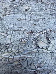 Gebarsten witte textuur