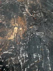 Verweerd abstract oppervlak