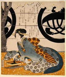 Schoonheid die bloemen bekijkt