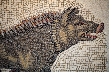 Romeins mozaïek