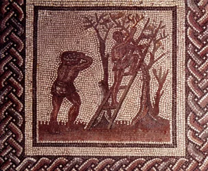 Gallo-Romeinse kunst: mozaïekvloer met een voorstelling van een landelijke kalender. Tafereel van de olijvenpluk. Eind 2e, begin 3e eeuw n.Chr. Uit Saint-Romain-en-Gal (Rhône). Saint-Germain-en-Laye, Nationaal Archeologisch Museum