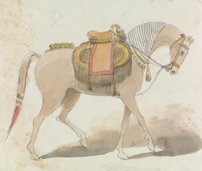 Uitgebreid gezadeld paard