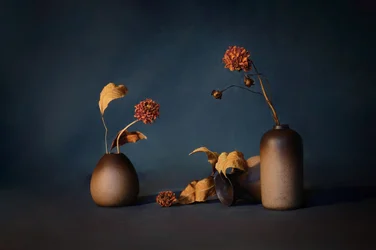 Sombere droogbloemen