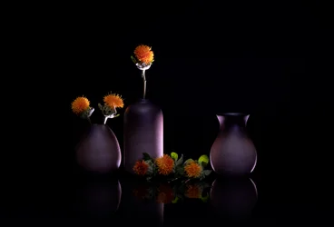 Stilleven met oranje bloemen