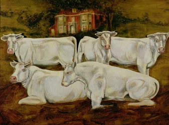Charolais Stieren, Dippenhall, Farnham