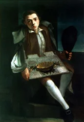 De schrijver