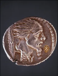 Vermoedelijk profiel van Vercingetorix op een Gallische munt. Museo del Medagliere. Milaan